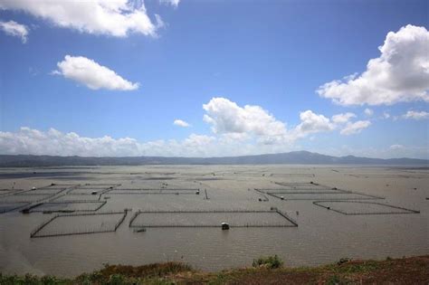 Den mystiska försvinnandet av Laguna de Bay: En tidig klimatkatastrof möter en förlorad civilisation?